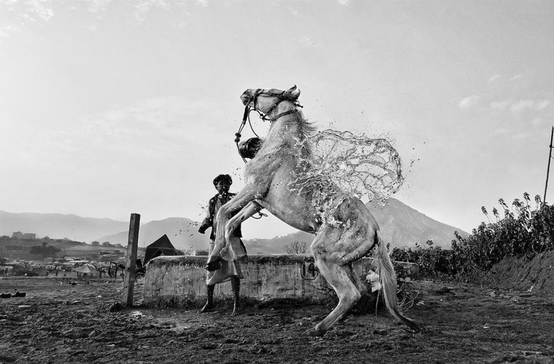 Anindya - The Curator Mag