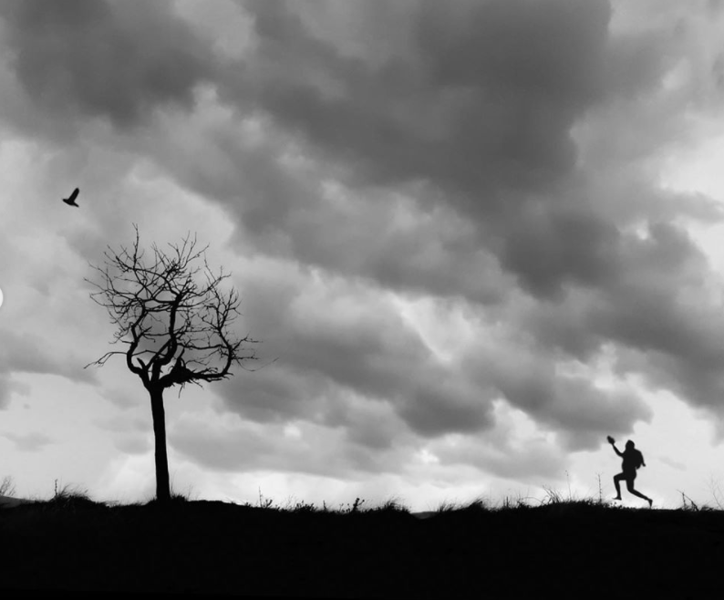 Meisam Abdoli - The Curator Mag