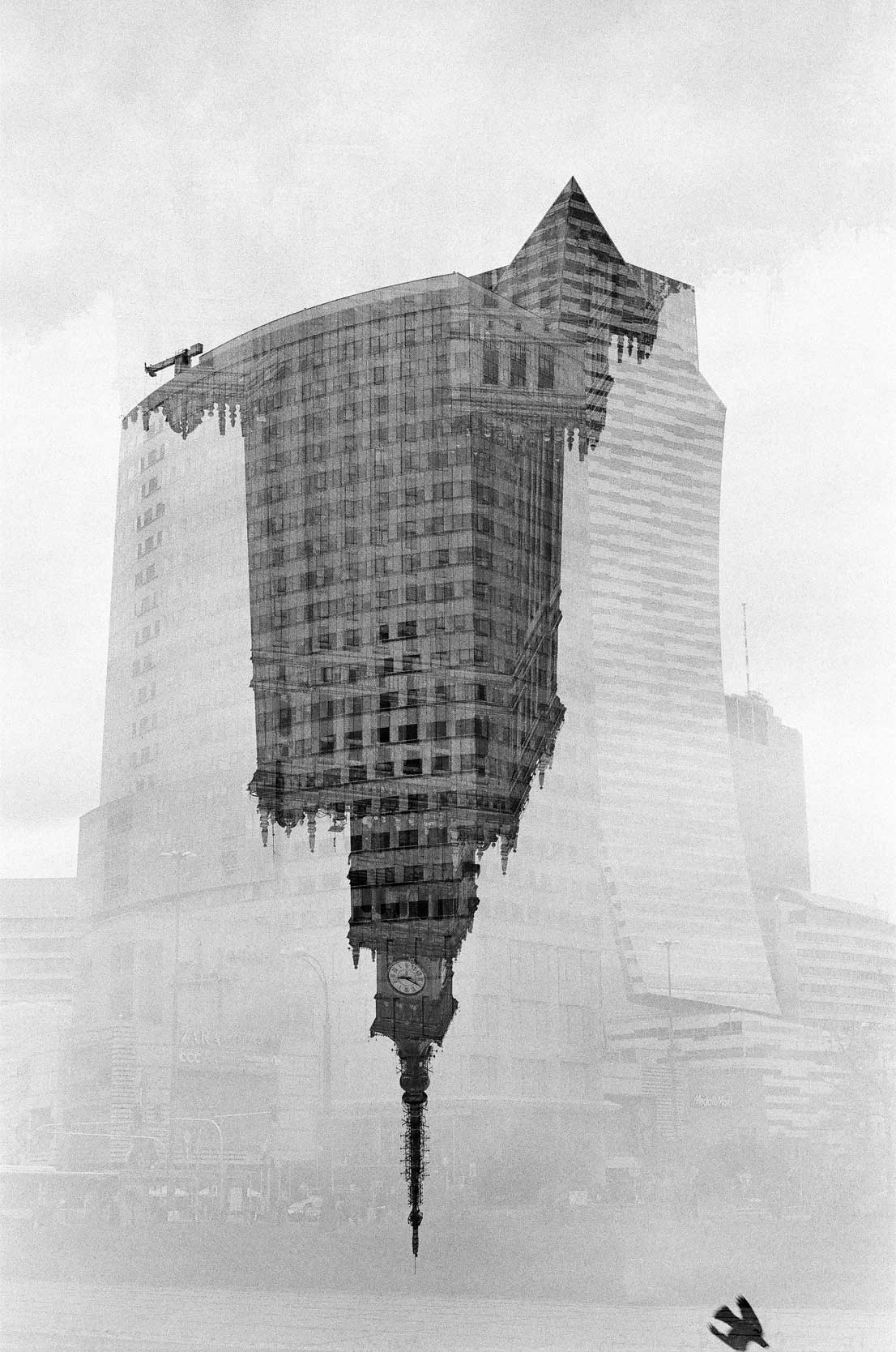 Harsha Vemuri - The Curator Mag