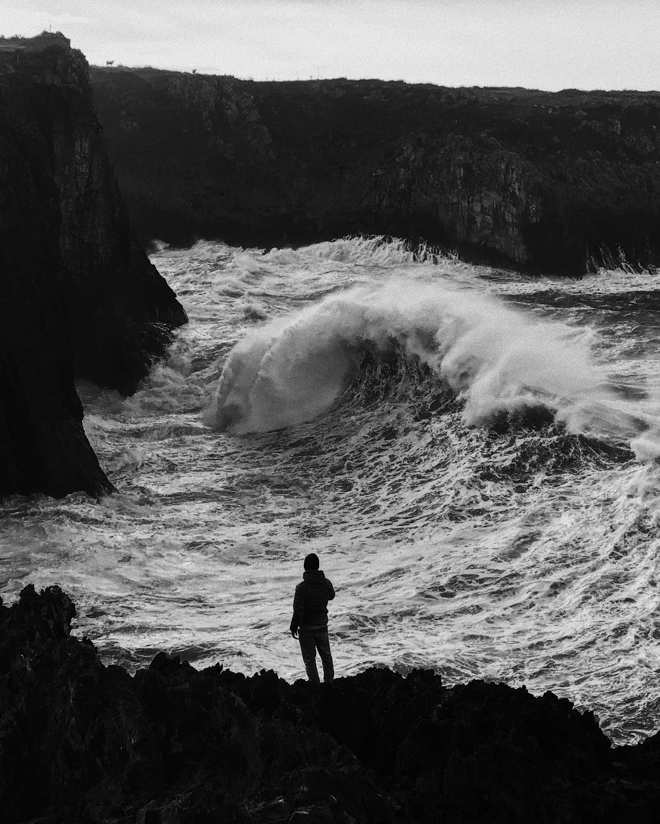 Arturo Herrero - The Curator Mag