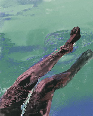 Harshita Sethi - The Curator Mag