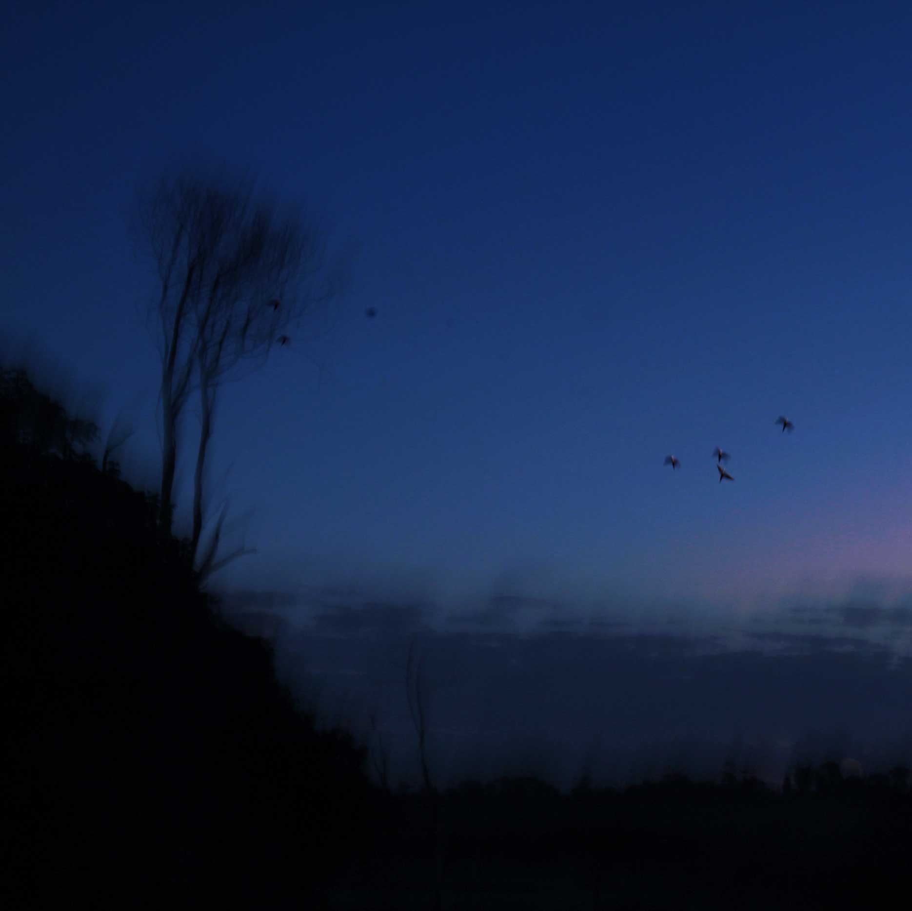 Bruna Naves - The Curator Mag