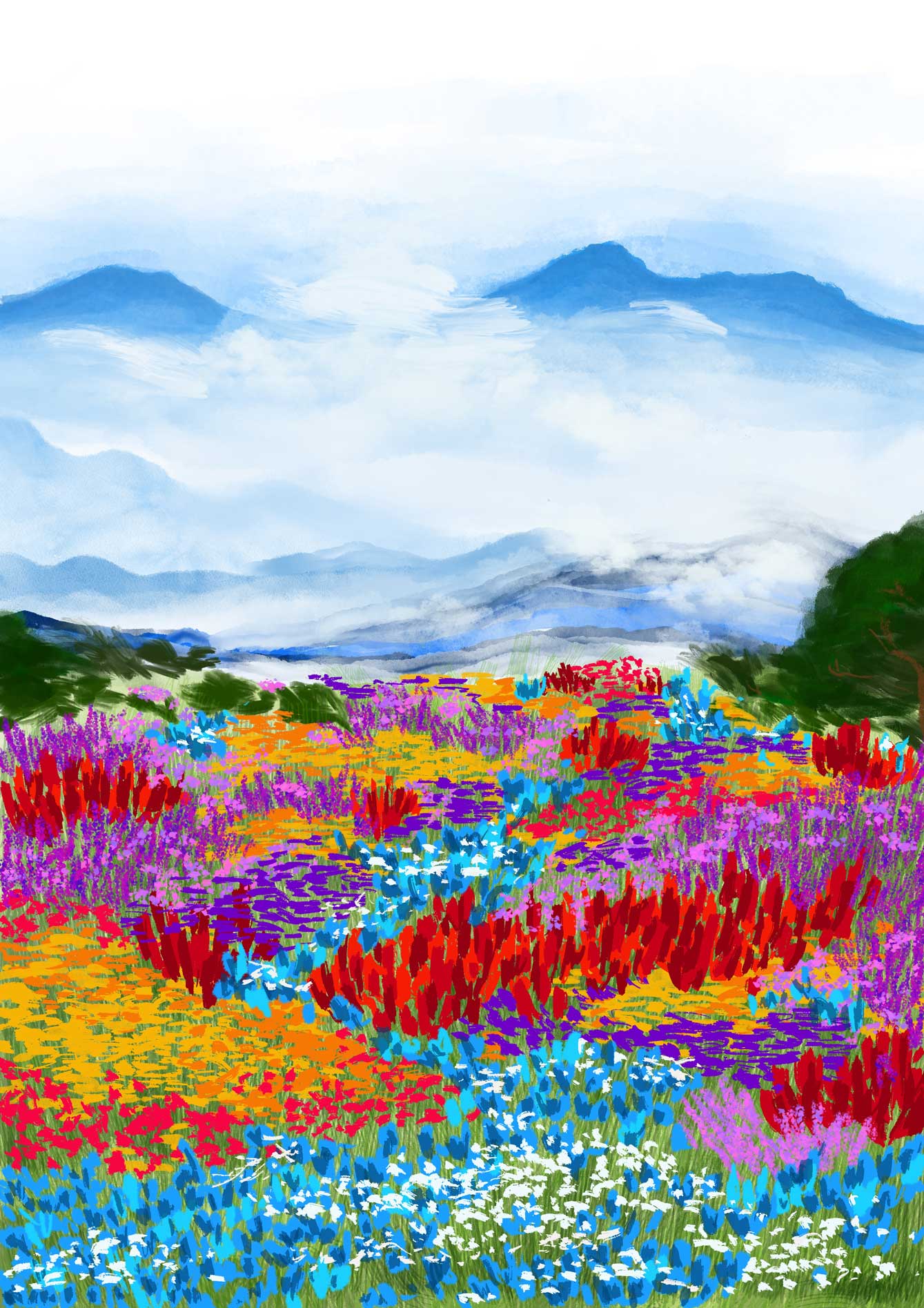 Tanuka Ranade - The Curator Mag