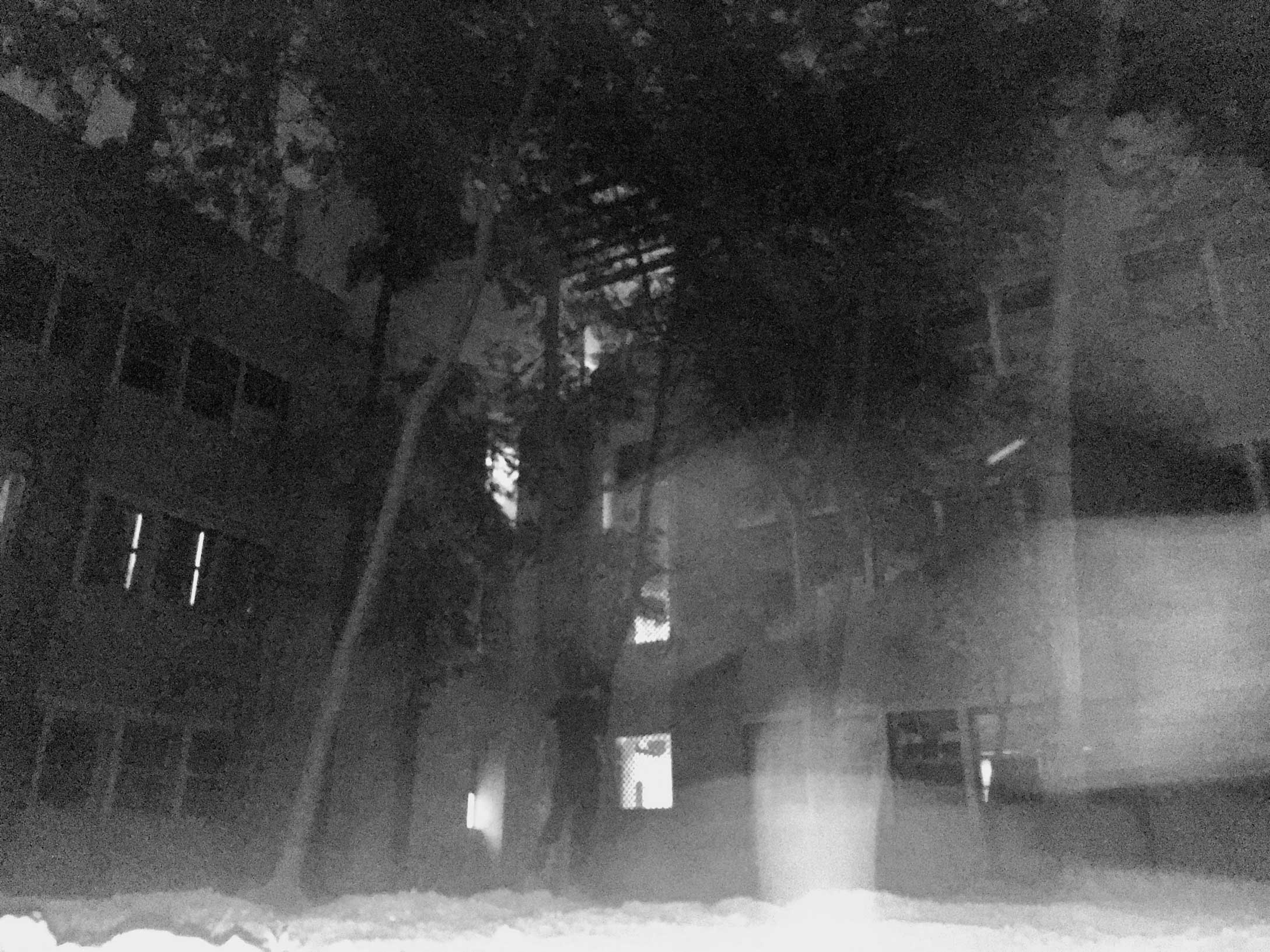 Akash Zaveri - The Curator Mag