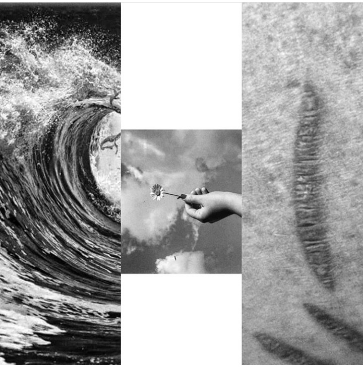 Arafat Baktoo - The Curator Mag