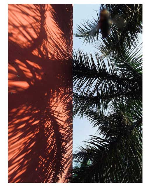 Pavneet Singh - The Curator Mag