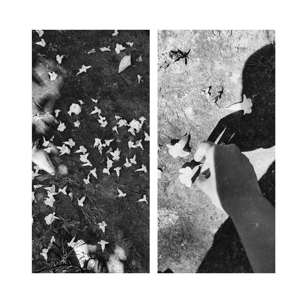 Bidisha Roy - The Curator Mag