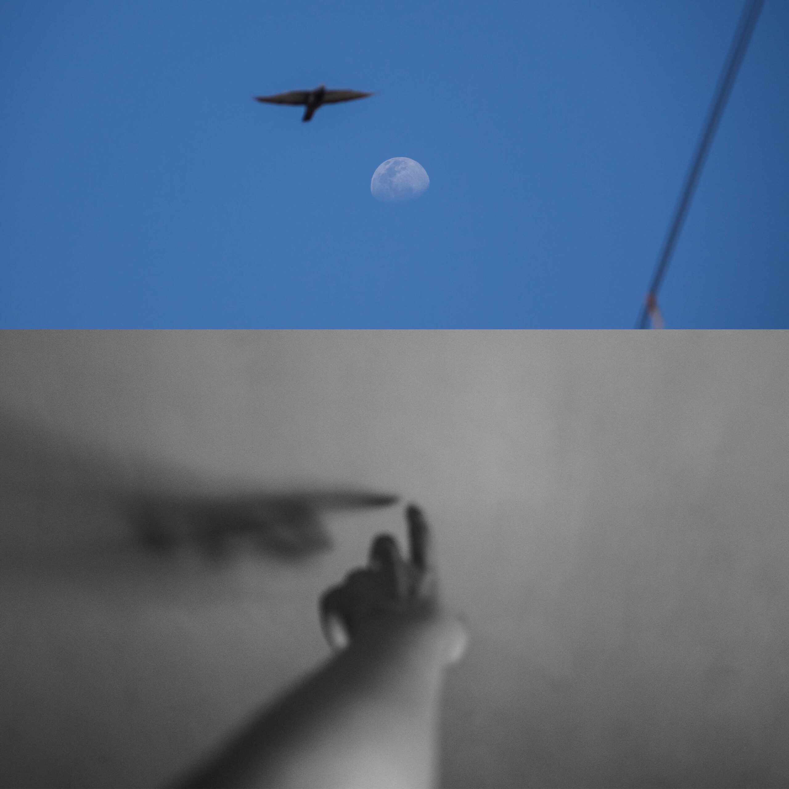 Surabhi Manisha - The Curator Mag