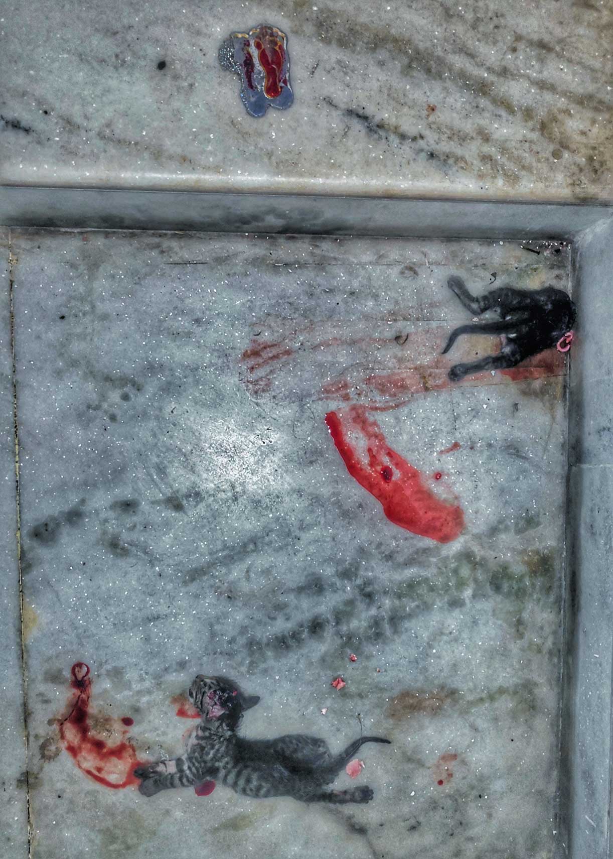 Vinod Karki - The Curator Mag