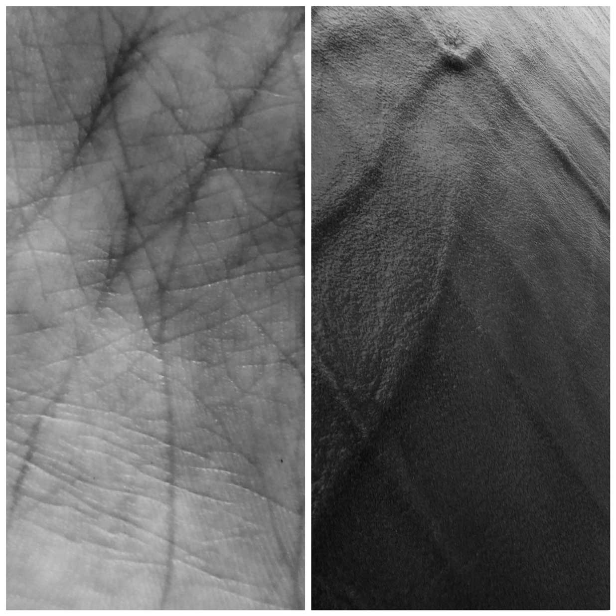 Sandra Satheesh - The Curator Mag