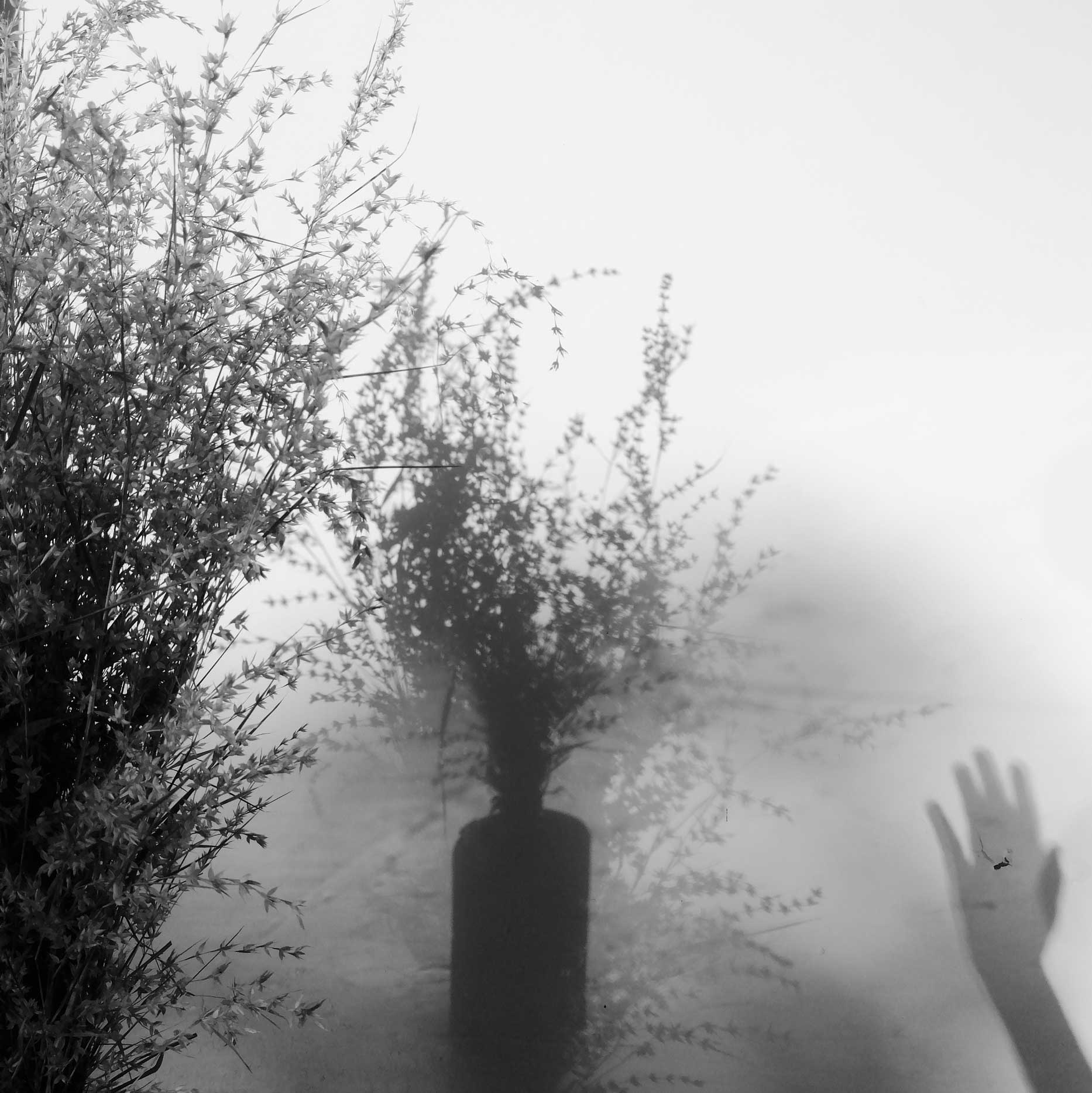 Preksha Kothari - The Curator Mag