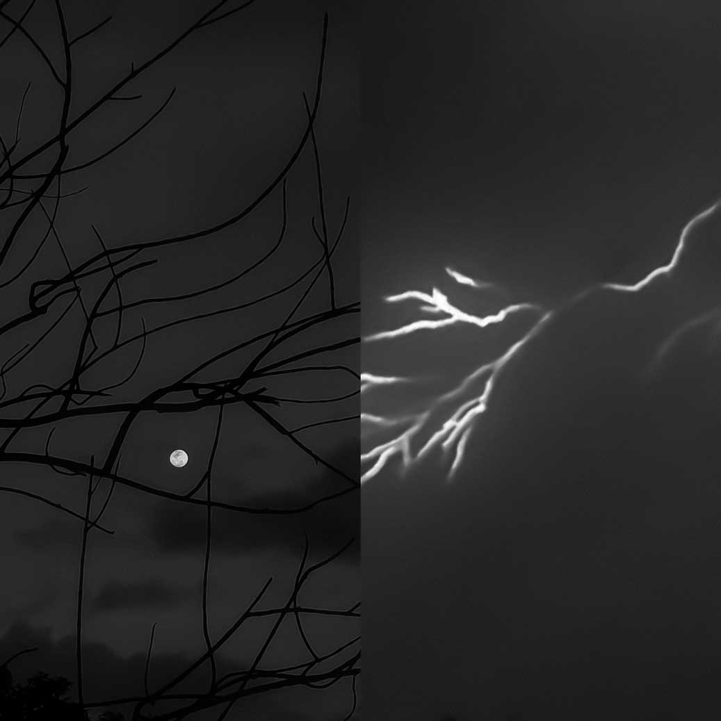 Priya Cardoz - The Curator Mag