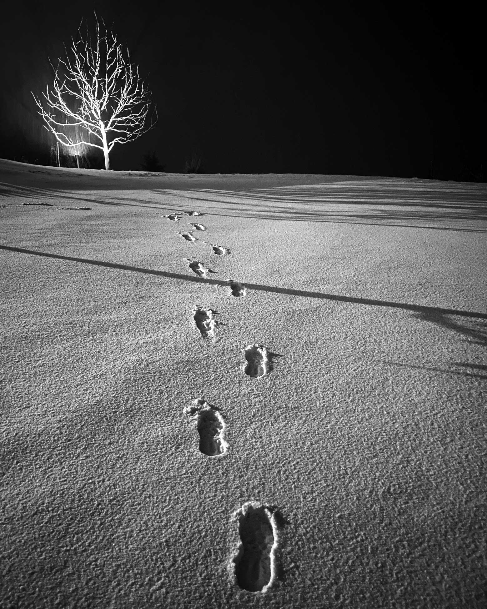 Aviva Baig - The Curator Mag