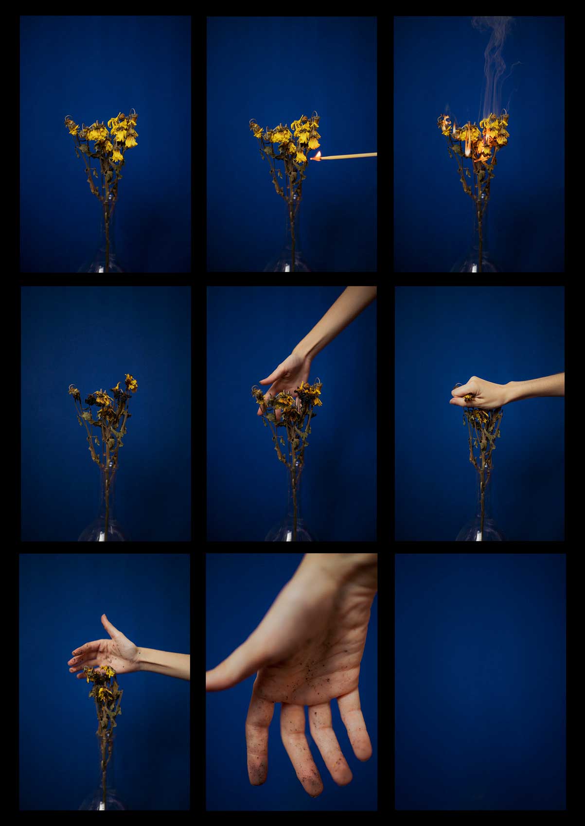 Alejandra Amere - The Curator Mag