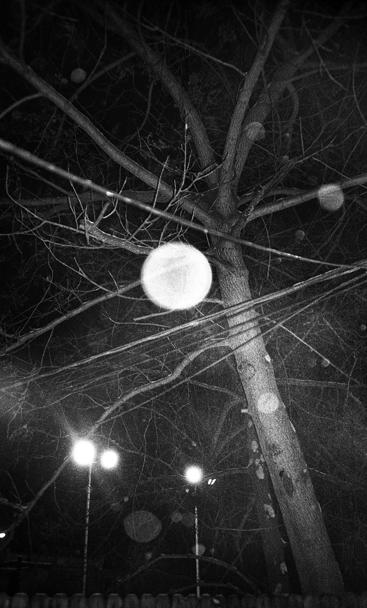 Kevin Convery - The Curator Mag