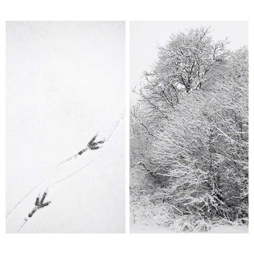 Einar Stabenfeldt - The Curator Mag